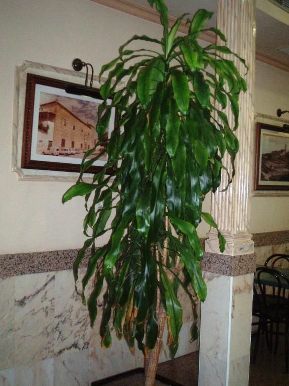 Hotel Los Hermanos Оканья Екстер'єр фото